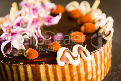 Tastefully decorated cake with chocolate coating