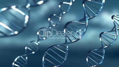 DNA ribbons - Blue