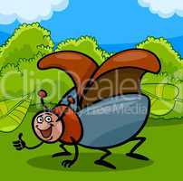 beetle insect cartoon illustration