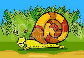 snail mollusk cartoon illustration