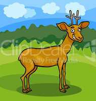 wild deer cartoon illustration