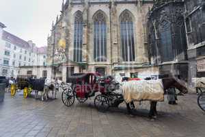 Carriage in front of Cathedral Saint Stefan in Vienna