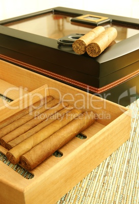 Cigars and humidor