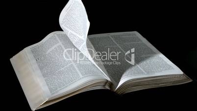 Bible pages turning in the wind on black background