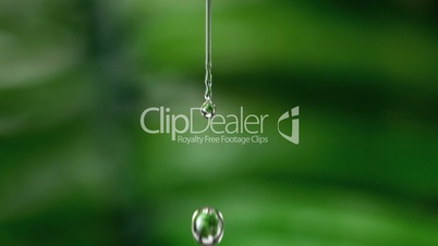 Drop of water falling against green natural background