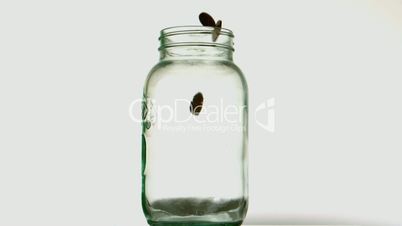Coins pouring into glass jar on white background