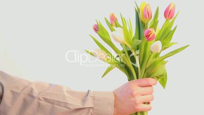 Man offering a bouquet of tulips