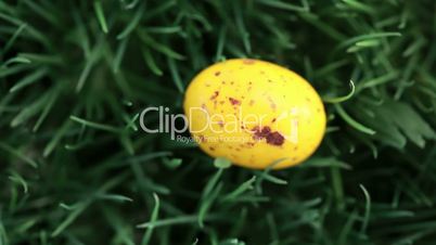 Yellow easter eggs