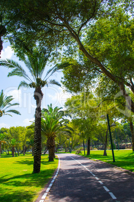 View of summer park Yarkon