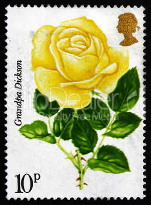 postage stamp gb 1976 grandpa dickson, painted rose
