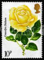 postage stamp gb 1976 grandpa dickson, painted rose