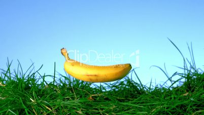 Banana falling on grass against blue background