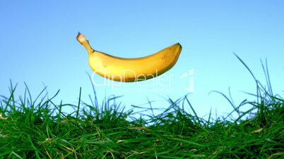 Banana falling  and bouncing on grass