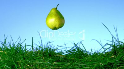 Pear falling in the grass on blue background