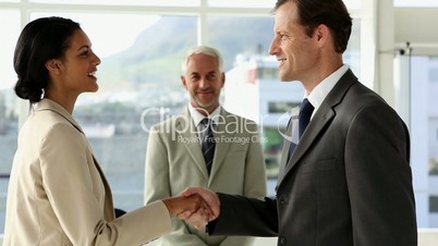 Business people shaking hands in office