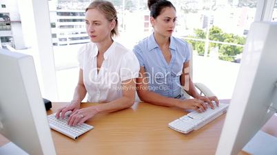 Businesswomen working on computers