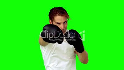 Sportsman boxing in front of the camera