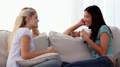 Attractive friends chatting and relaxing together