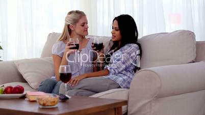Attractive friends clinking their glasses of red wine together