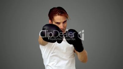 Sportsman boxing in front of the camera on grey background