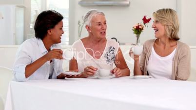 Mature women gossiping during afternoon tea