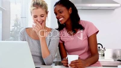 Two friends chatting and using laptop
