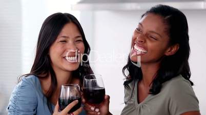Friends relaxing with red wine while the meal is being cooked