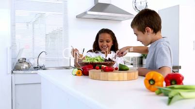 Siblings preparing salad together