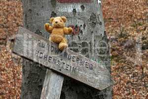 Wanderweg zum Hohenstein mit Teddybär Krambam