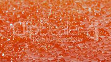 Red salted caviar