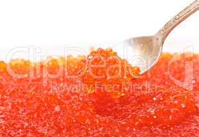 Red salted caviar with spoon