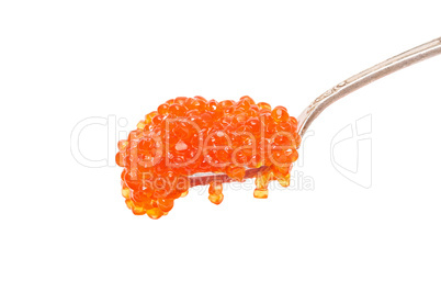 Red salted caviar with spoon