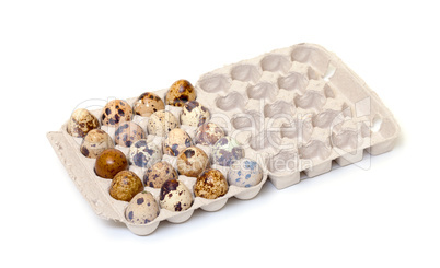 Speckled quail eggs in a carton box