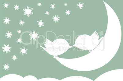 night sky background with birds in love