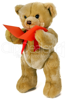 Toy bear with newspaper