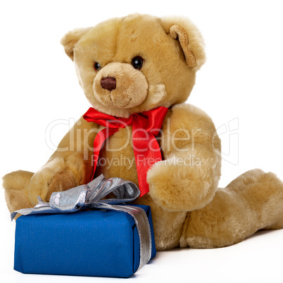 Toy bear with gift