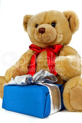 Toy bear with gift