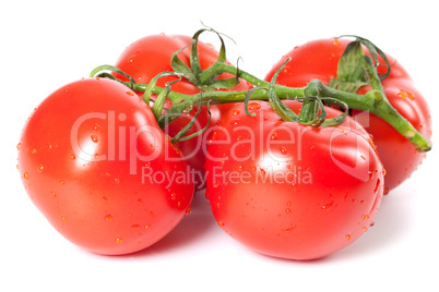 Bunch of ripe tomato with water drops