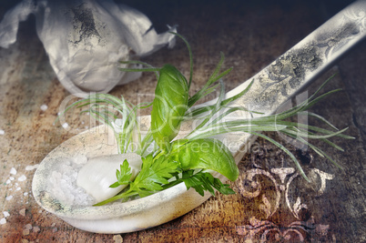 Kräuter und Knoblauch Italian Vintage Style Kräuter und Knoblauch Italian Vintage Style