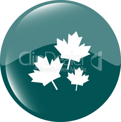 Maple leaf icon on green sticker