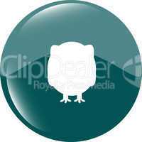 Owl on icon button isolated