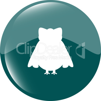 Owl - icon isolated