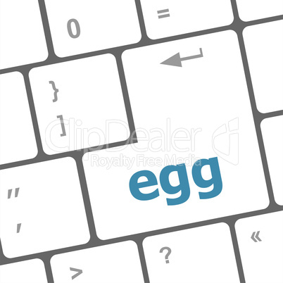 egg word on computer pc keyboard key