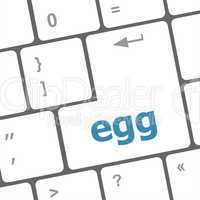 egg word on computer pc keyboard key