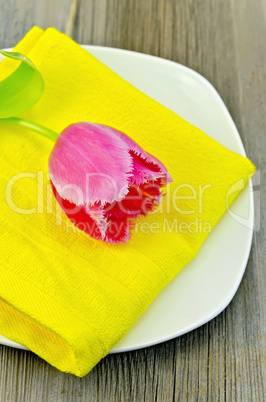 Tulip pink on the plate