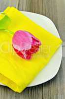 Tulip pink on the plate
