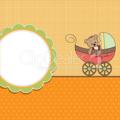 funny teddy bear in stroller