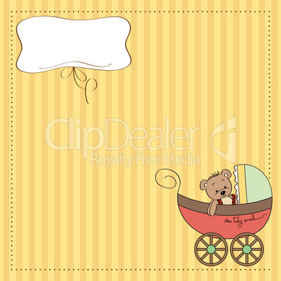 funny teddy bear in stroller