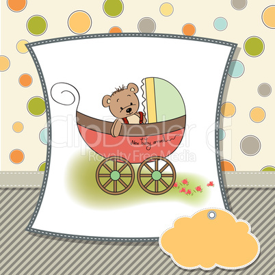 funny teddy bear in stroller