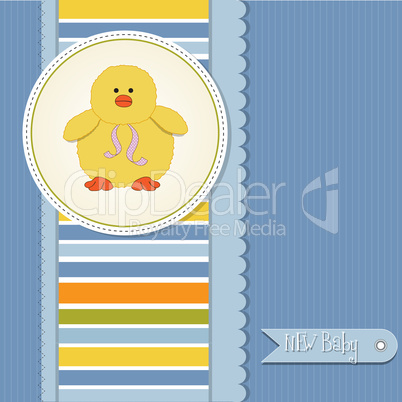 baby boy announcement card with duck